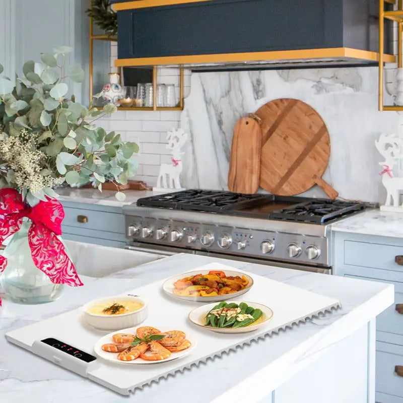 Food Warmer Plate